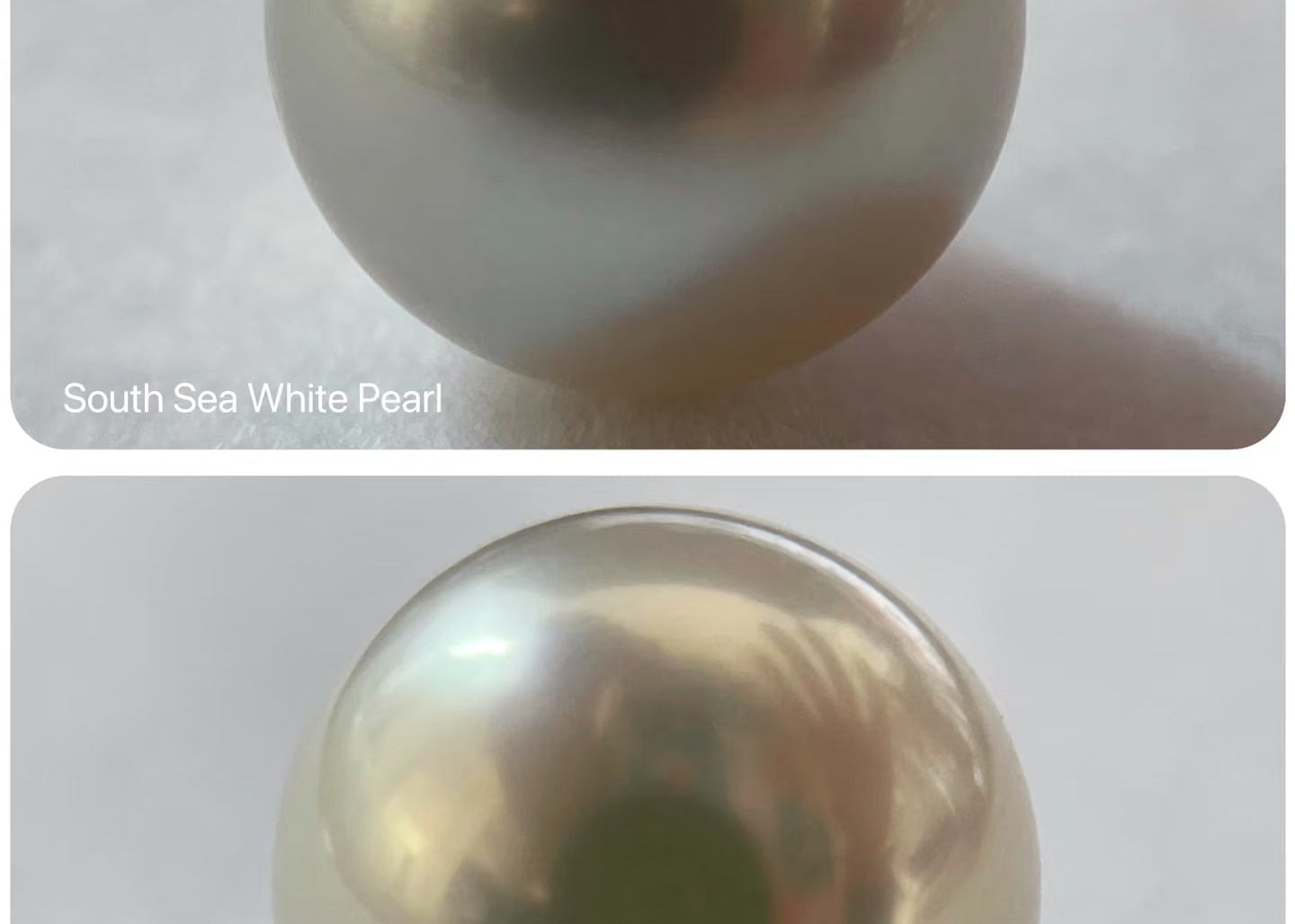 Freshwater vs Saltwater Pearls: Which One is Right for You?
