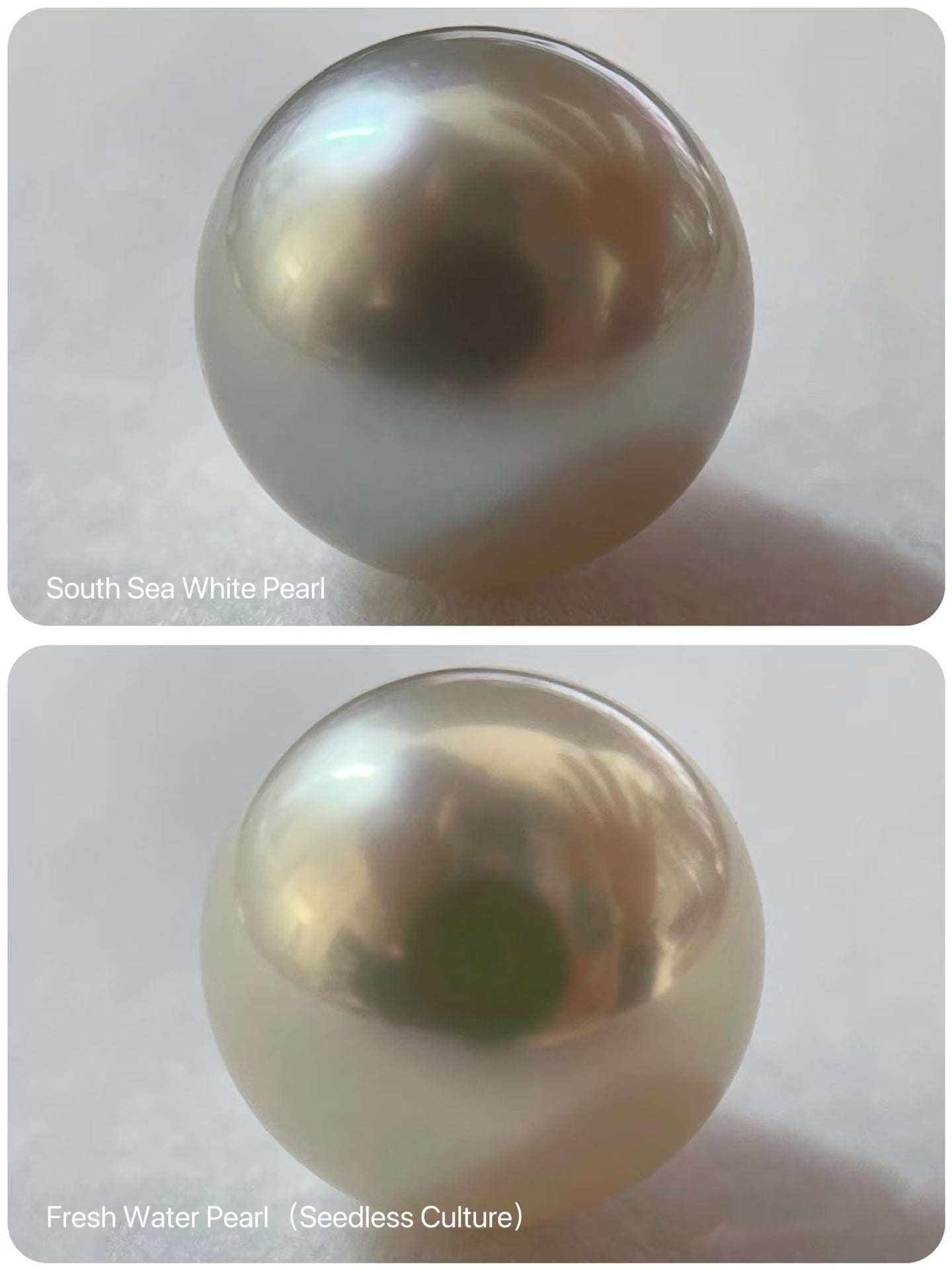 Freshwater vs Saltwater Pearls: Which One is Right for You?
