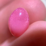Wholesale Queen Conch Pearl From Caribbean Sea, Pearls Strombus Gigas, Natural Queen Conch Pearl, Flamed Pink Etsy