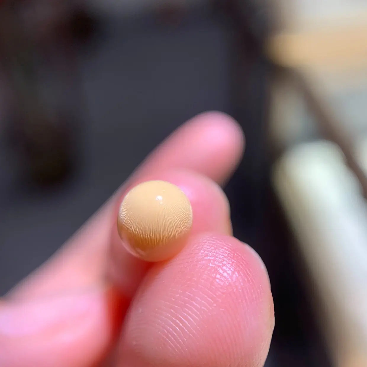 Queen Conch Pearl From Caribbean Sea, Pearls Strombus Gigas, Natural Queen Conch Pearl, Flamed Pink Etsy