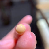 Queen Conch Pearl From Caribbean Sea, Pearls Strombus Gigas, Natural Queen Conch Pearl, Flamed Pink Etsy