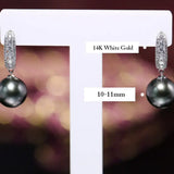 10-11mm Natural Tahitian Peacock Green Pearl Earrings, 18K White Gold Earrings, Black Pearl Earrings Etsy