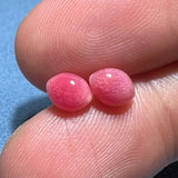 1.79Carat Pairs Queen Conch Pearl From Caribbean Sea, Pearls Strombus Gigas, Natural Queen Conch Pearl, Flamed Pink Pearl, SKU:635/626 Etsy