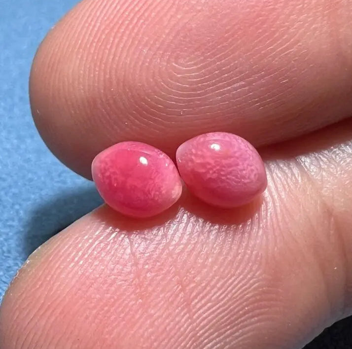 1.79Carat Pairs Queen Conch Pearl From Caribbean Sea, Pearls Strombus Gigas, Natural Queen Conch Pearl, Flamed Pink Pearl, SKU:635/626 Etsy