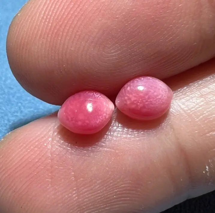 1.79Carat Pairs Queen Conch Pearl From Caribbean Sea, Pearls Strombus Gigas, Natural Queen Conch Pearl, Flamed Pink Pearl, SKU:635/626 Etsy