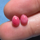 1.79Carat Pairs Queen Conch Pearl From Caribbean Sea, Pearls Strombus Gigas, Natural Queen Conch Pearl, Flamed Pink Pearl, SKU:635/626 Etsy