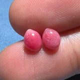 1.79Carat Pairs Queen Conch Pearl From Caribbean Sea, Pearls Strombus Gigas, Natural Queen Conch Pearl, Flamed Pink Pearl, SKU:635/626 Etsy