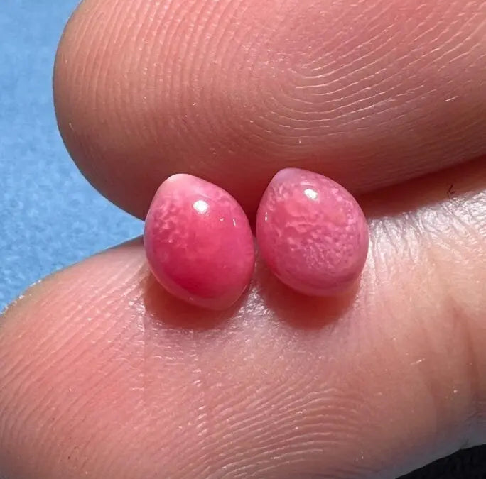 1.79Carat Pairs Queen Conch Pearl From Caribbean Sea, Pearls Strombus Gigas, Natural Queen Conch Pearl, Flamed Pink Pearl, SKU:635/626 Etsy