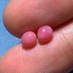 1.61Carat Pairs Queen Conch Pearl From Caribbean Sea, Pearls Strombus Gigas, Natural Queen Conch Pearl, Flamed Pink Pearl, SKU:528/562 Etsy