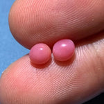 1.61Carat Pairs Queen Conch Pearl From Caribbean Sea, Pearls Strombus Gigas, Natural Queen Conch Pearl, Flamed Pink Pearl, SKU:528/562 Etsy