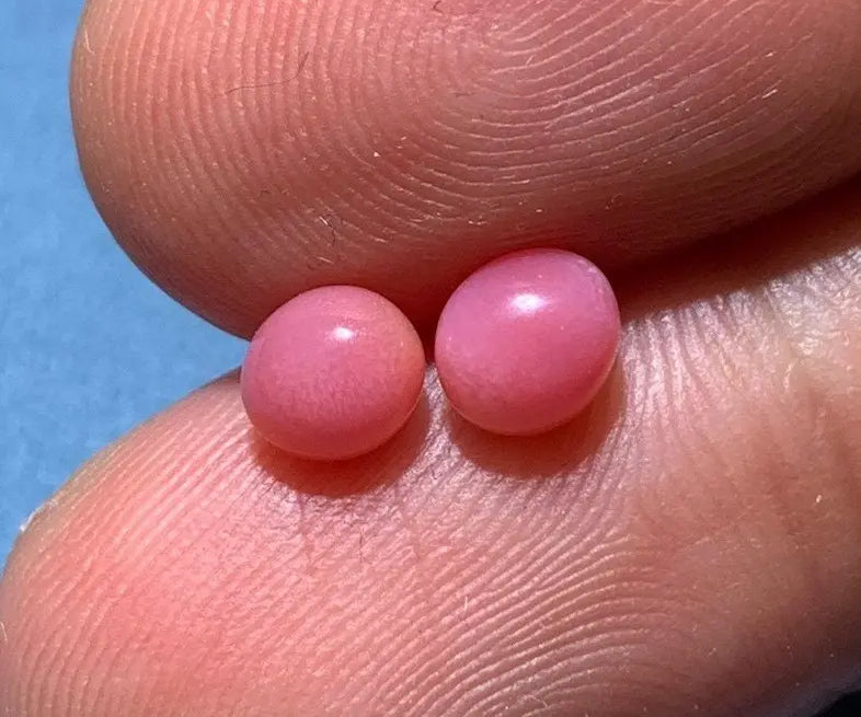 1.61Carat Pairs Queen Conch Pearl From Caribbean Sea, Pearls Strombus Gigas, Natural Queen Conch Pearl, Flamed Pink Pearl, SKU:528/562 Etsy