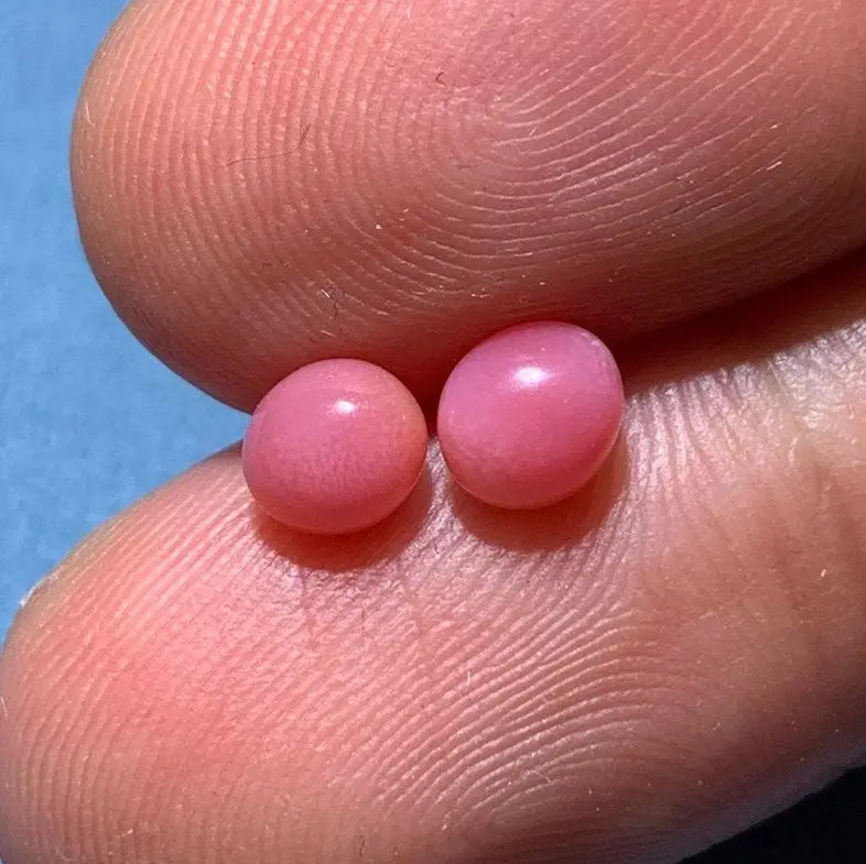 1.61Carat Pairs Queen Conch Pearl From Caribbean Sea, Pearls Strombus Gigas, Natural Queen Conch Pearl, Flamed Pink Pearl, SKU:528/562 Etsy
