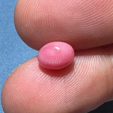 1.64Carat "Perfect Flame" Queen Conch Pearl From Caribbean Sea, Pearls Strombus Gigas, Natural Queen Conch Pearl, Flamed Pink Pearl SKU:578 - LaCorserArtJewelry