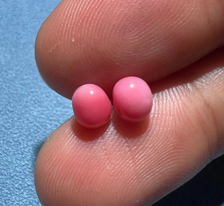 1.94Carat Queen Conch Pearl Pair From Caribbean Sea Pearls Strombus Gigas, Flamed Pink Pearl, SKU:468/614 Etsy