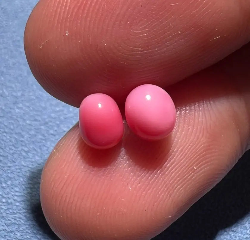 1.94Carat Queen Conch Pearl Pair From Caribbean Sea Pearls Strombus Gigas, Flamed Pink Pearl, SKU:468/614 Etsy