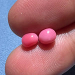 1.94Carat Queen Conch Pearl Pair From Caribbean Sea Pearls Strombus Gigas, Flamed Pink Pearl, SKU:468/614 Etsy