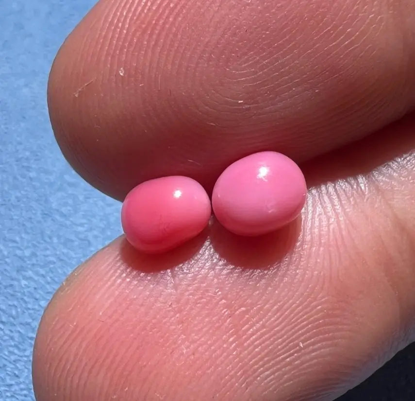 1.94Carat Queen Conch Pearl Pair From Caribbean Sea Pearls Strombus Gigas, Flamed Pink Pearl, SKU:468/614 Etsy