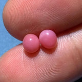 1.61Carat Pairs Queen Conch Pearl From Caribbean Sea, Pearls Strombus Gigas, Natural Queen Conch Pearl, Flamed Pink Pearl, SKU:528/562 Etsy
