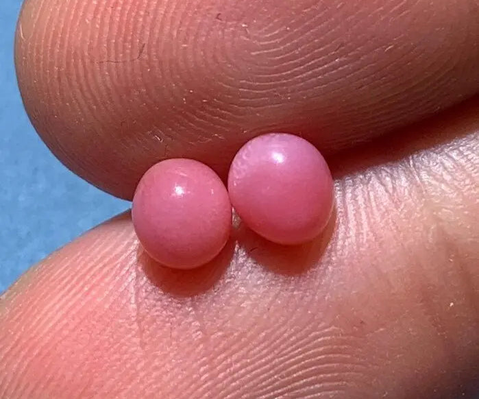 1.61Carat Pairs Queen Conch Pearl From Caribbean Sea, Pearls Strombus Gigas, Natural Queen Conch Pearl, Flamed Pink Pearl, SKU:528/562 Etsy