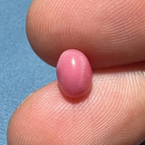 1.64Carat "Perfect Flame" Queen Conch Pearl From Caribbean Sea, Pearls Strombus Gigas, Natural Queen Conch Pearl, Flamed Pink Pearl SKU:578 - LaCorserArtJewelry