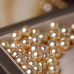 Superier Akoya Golden Pearl Stud Earrings, 18k Solid Yellow Gold Earrings, Minimalist Champagne Pearl Earring Etsy