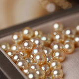 Superier Akoya Golden Pearl Stud Earrings, 18k Solid Yellow Gold Earrings, Minimalist Champagne Pearl Earring Etsy