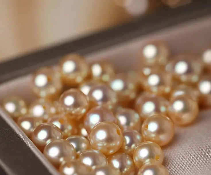 Superier Akoya Golden Pearl Stud Earrings, 18k Solid Yellow Gold Earrings, Minimalist Champagne Pearl Earring Etsy