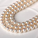 Very Rare Akoya Champagne Pearl Beaded Necklace, Finset Quality Pearl, Super Hight Luster Japan Champagne Color Pearl Etsy