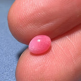 0.67Carat Queen Conch Pearl Pearls Strombus Gigas Flamed Pink Pearl Anniversary Gift for Her SKU: 1016 - LaCorserArtJewelry
