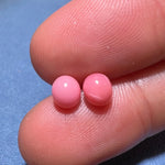 2.17Carat Pairs Queen Conch Pearl From Caribbean Sea, Pearls Strombus Gigas, Natural Queen Conch Pearl, Flamed Pink Pearl, SKU: 1061/1064 Etsy
