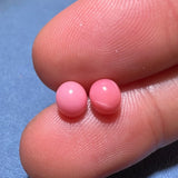 2.17Carat Pairs Queen Conch Pearl From Caribbean Sea, Pearls Strombus Gigas, Natural Queen Conch Pearl, Flamed Pink Pearl, SKU: 1061/1064 Etsy