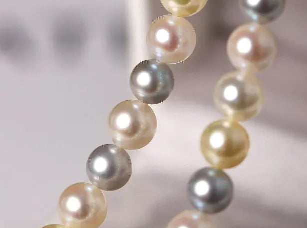 Madama Silver Pearl Akoya Golden Pearls Necklace, S925 Pearls Beaded Necklace, Elegant Seawater Pearls Necklace, Mixed Colors Pearl Necklace Etsy