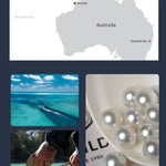 Australia South Sea White Pearl Studs Earrings - 18K White Gold Etsy