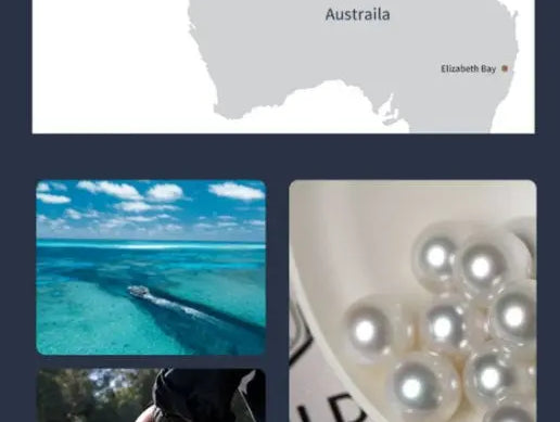 Australia South Sea White Pearl Studs Earrings - 18K White Gold Etsy