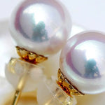 18K Gold Superior Akoya Pearl Studs Earrings Etsy