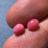 1.96Carat Pairs Queen Conch Pearl From Caribbean Sea, Pearls Strombus Gigas, Natural Queen Conch Pearl, Flamed Pink, SKU: 1349/1598 Etsy