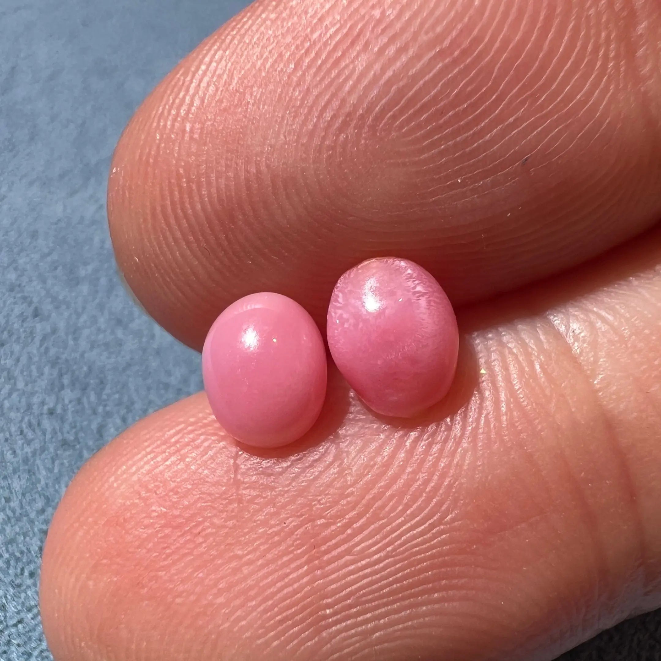 1.86Ct Pairs Queen Conch Pearl From Caribbean Sea, Pearls Strombus Gigas SKU: B751 / B752 Etsy