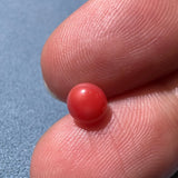 1.08Carat Queen Conch Pearl From Caribbean Sea, Pearls Strombus Gigas, Natural Queen Conch Pearl, Flamed Pink Pearl, Gift for Her, SKU: 1597 Etsy