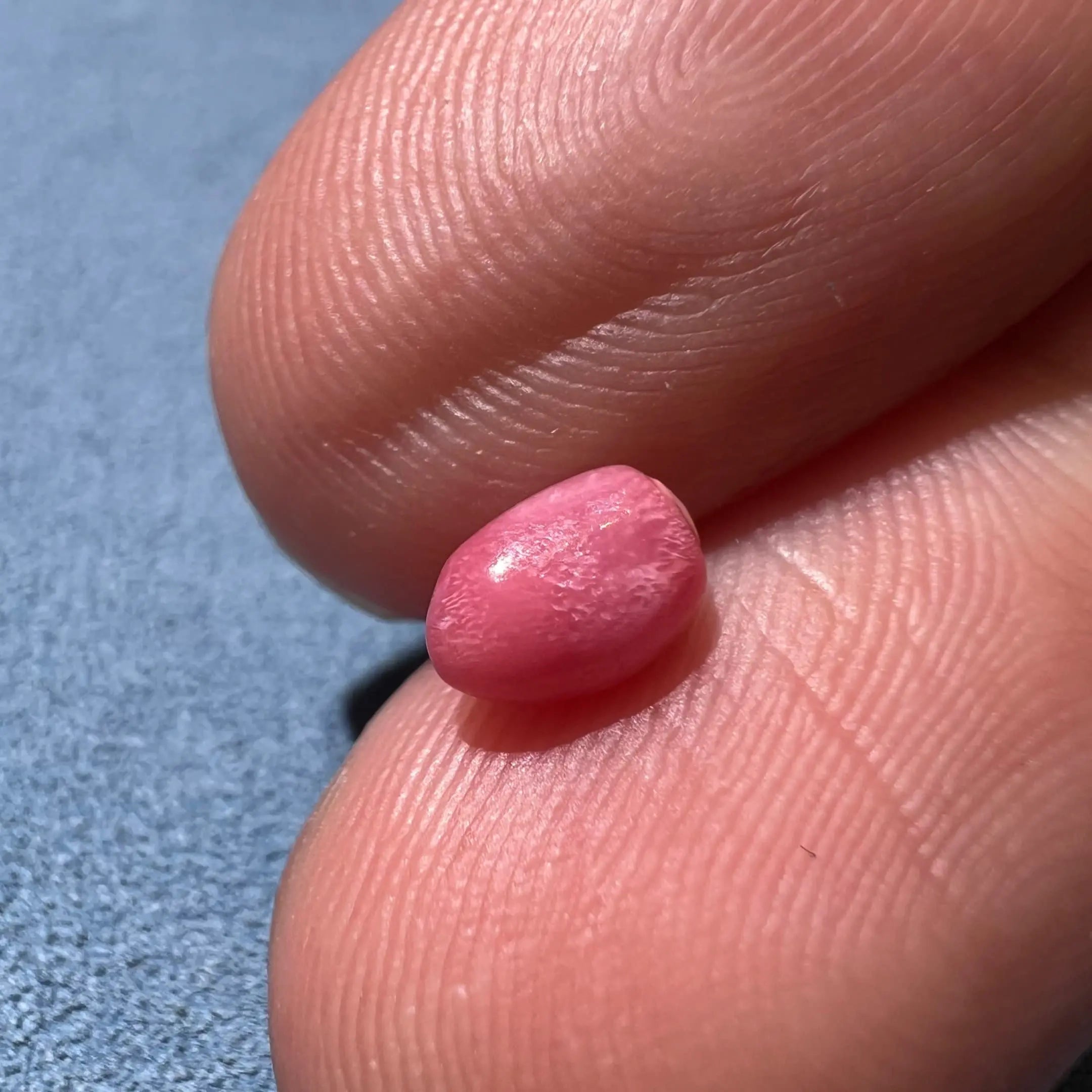 0.75Carat "Sakura Pink" Queen Conch Pearl From Caribbean Sea, Pearls Strombus Gigas, Natural Queen Conch Pearl, Flamed Pink Pearl, SKU:B781 - LaCorserArtJewelry