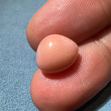 5.81Carat "Peach Pink" Queen Conch Pearl From Caribbean Sea, Pearls Strombus Gigas, Natural Queen Conch Pearl, Flamed Pink Pearl, SKU: 1425 Etsy