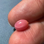 2.13Carat "Perfect Flame" Queen Conch Pearl From Caribbean Sea, Pearls Strombus Gigas, Flamed Pink Pearl, SKU: 1553 Etsy