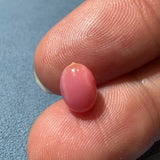 2.13Carat "Perfect Flame" Queen Conch Pearl From Caribbean Sea, Pearls Strombus Gigas, Flamed Pink Pearl, SKU: 1553 Etsy