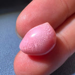 9.92Carat Flame Queen Conch Pearl From Caribbean Sea, Pearls Strombus Gigas, Flamed Pink Pearl, SKU: 1171 - LaCorserArtJewelry