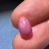 4.06Carat Queen Conch Pearl From Caribbean Sea, Pearls Strombus Gigas, Natural Queen Conch Pearl, Flamed Pink Pearl, SKU: 1125 Etsy