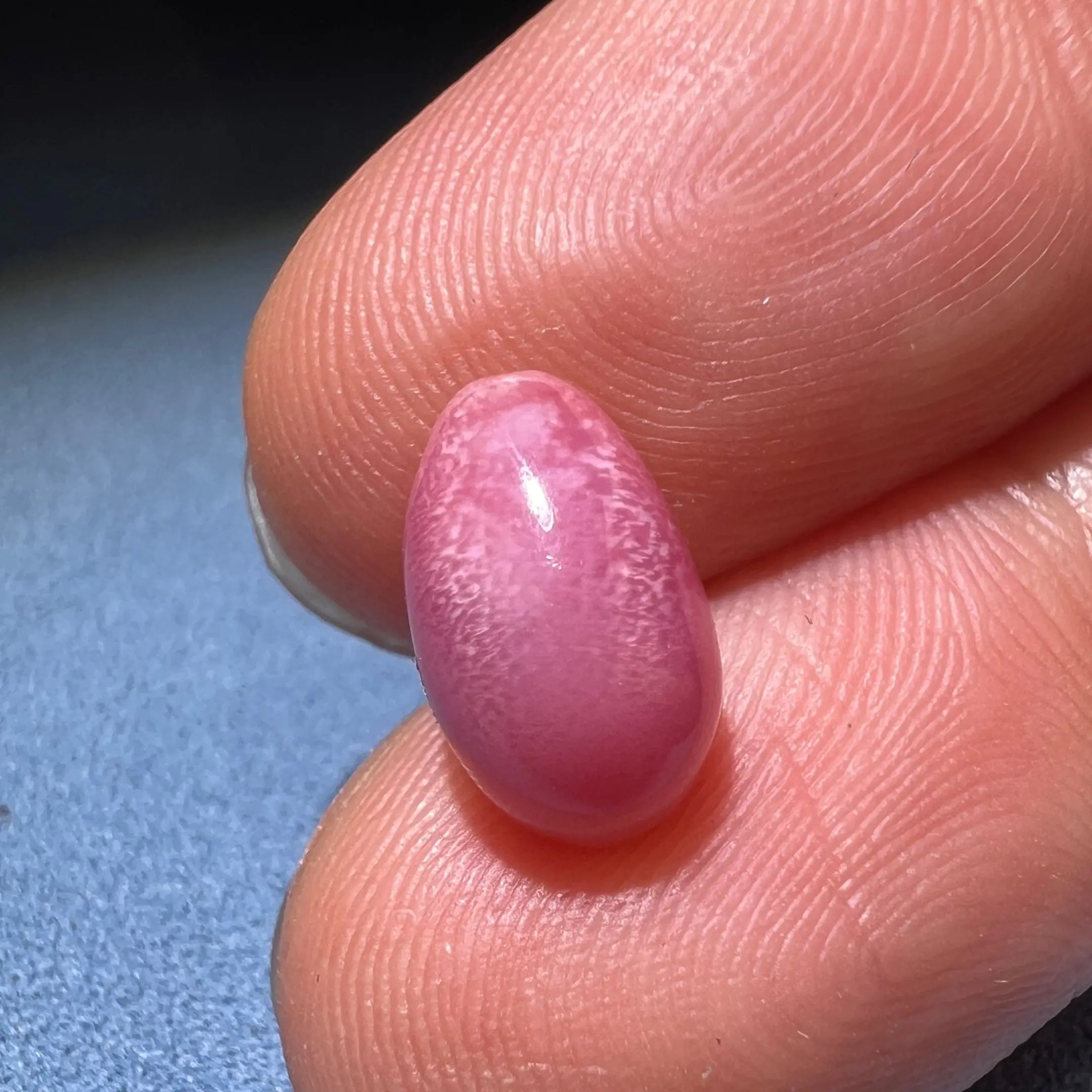 4.06Carat Queen Conch Pearl From Caribbean Sea, Pearls Strombus Gigas, Natural Queen Conch Pearl, Flamed Pink Pearl, SKU: 1125 Etsy