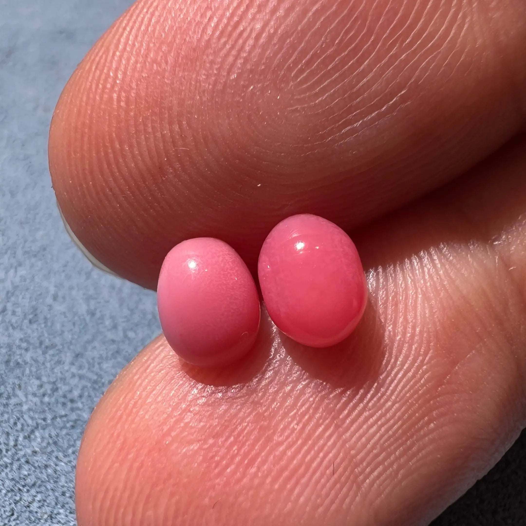 1.96Carat Pairs Queen Conch Pearl From Caribbean Sea, Pearls Strombus Gigas, Natural Queen Conch Pearl, Flamed Pink, SKU: 1349/1598 Etsy