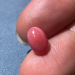 2.01Carat Certificate Queen Conch Pearl Pearls Strombus Gigas Flamed Pink Pearl, SKU: 1540 - LaCorserArtJewelry