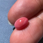 2.01Carat Certificate Queen Conch Pearl Pearls Strombus Gigas Flamed Pink Pearl, SKU: 1540 - LaCorserArtJewelry