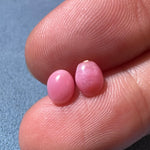 1.86Ct Pairs Queen Conch Pearl From Caribbean Sea, Pearls Strombus Gigas SKU: B751 / B752 Etsy
