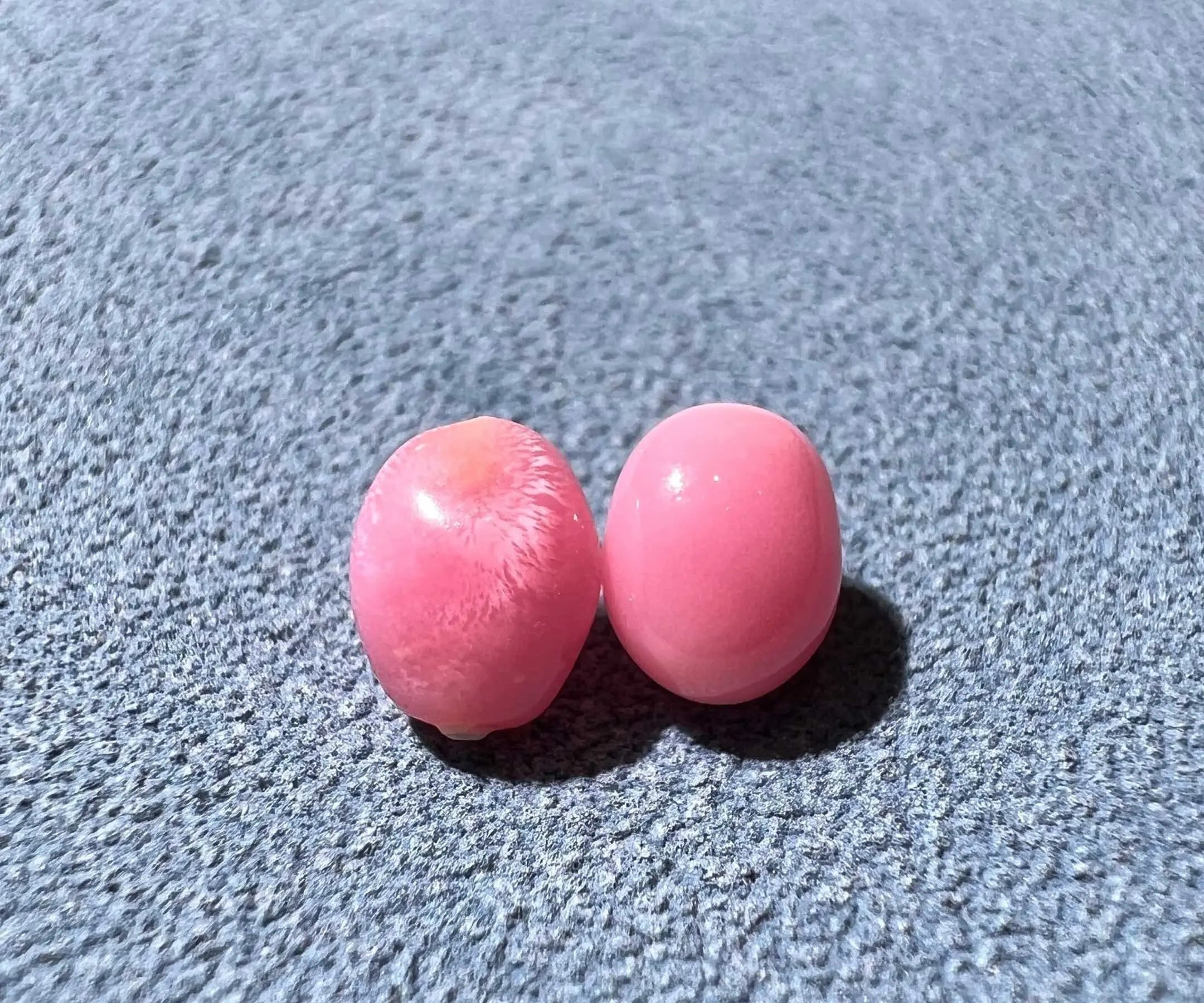 1.86Ct Pairs Queen Conch Pearl From Caribbean Sea, Pearls Strombus Gigas SKU: B751 / B752 Etsy